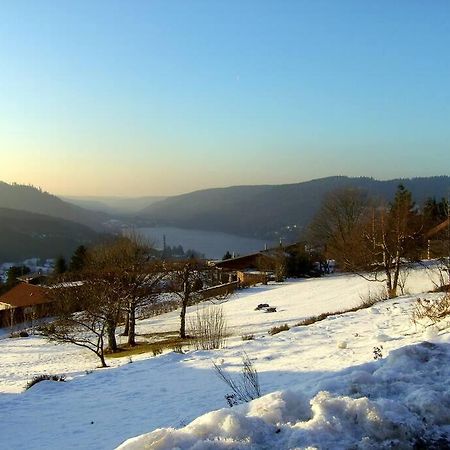 Gerardmer Centre - Studio Au Pied Du Lac Grande Terrasse Εξωτερικό φωτογραφία